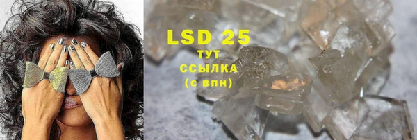 PSILOCYBIN Алзамай