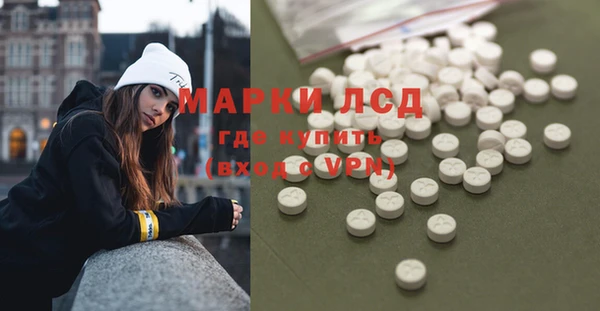 PSILOCYBIN Алзамай