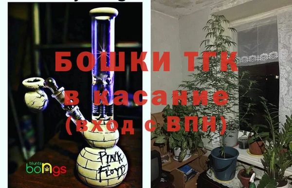 PSILOCYBIN Алзамай