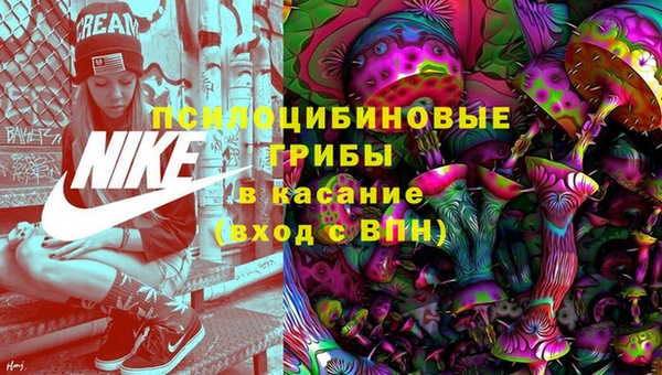 бошки Алексеевка