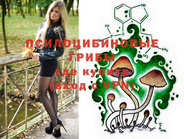 бошки Алексеевка