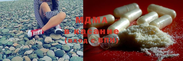 PSILOCYBIN Алзамай
