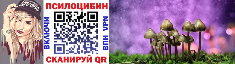 Псилоцибиновые грибы мицелий  кракен вход  Любань 