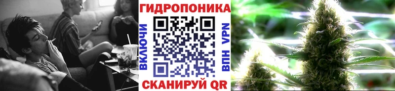 где продают наркотики  Любань  Конопля гибрид 